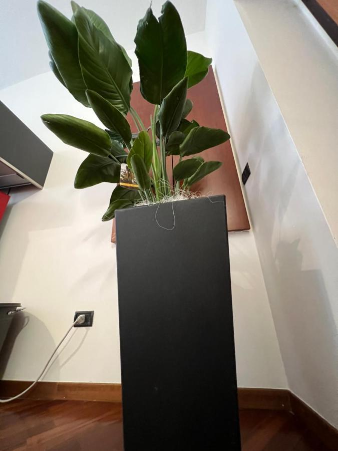 Effealatapartments - Appartamento Del Duca 西尼加利亚 外观 照片